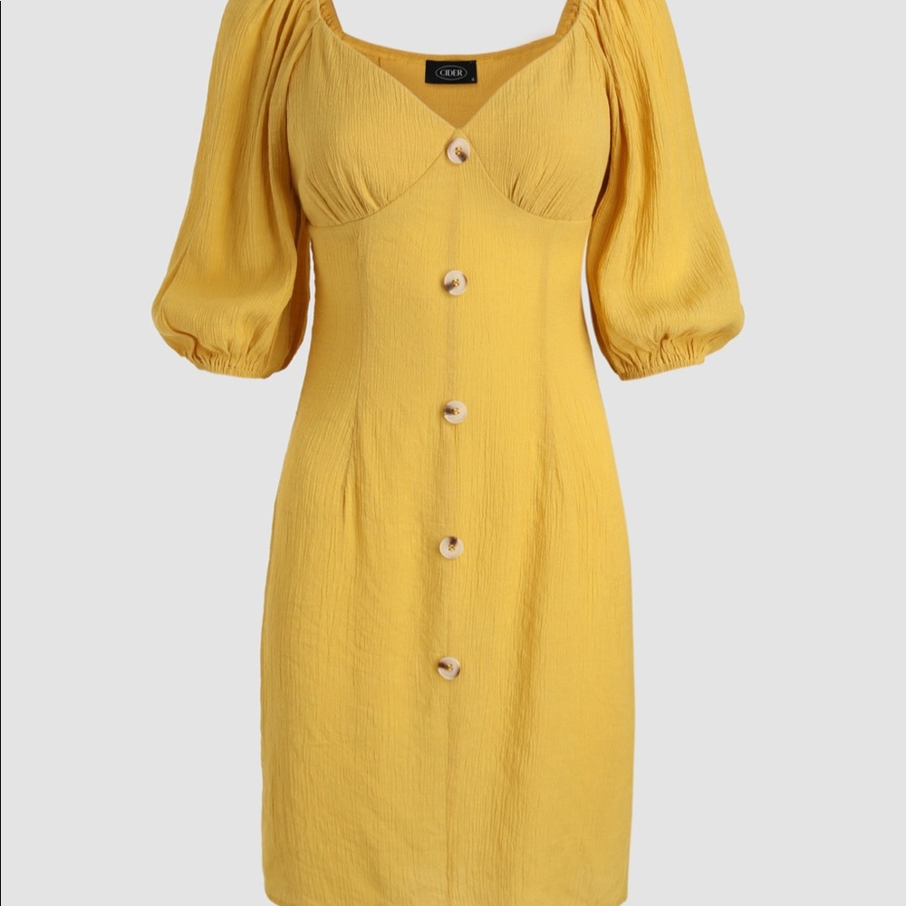 Chic Puff Sleeve Dress